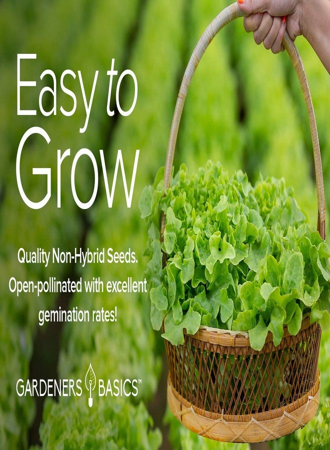 Gardeners Basics بذور خضراوات تراثية من غاردنرز بيسكس، غير معدلة وراثيًا، للزراعة الداخلية والخارجية - خس باتركرانش، خس روماني، جرجير، كرنب، وسبانخ، عبوة من 5 بذور - Image 3
